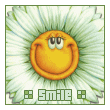 zmok1